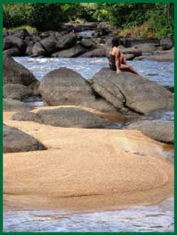 Rocks at low water