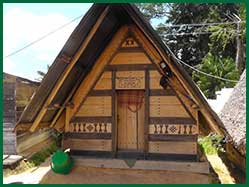 traditional hut